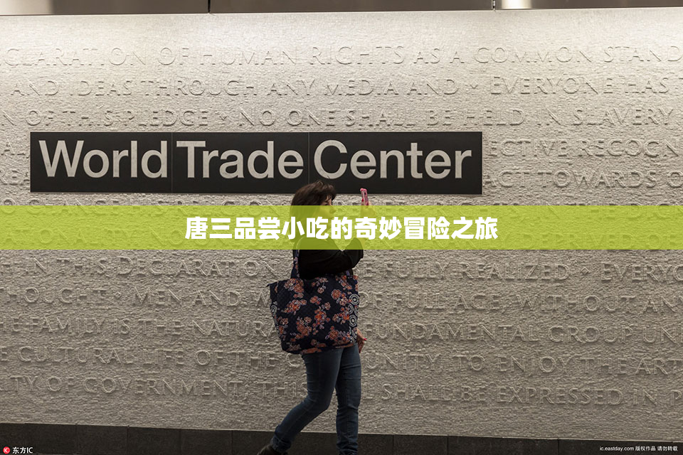 唐三品尝小吃的奇妙冒险之旅