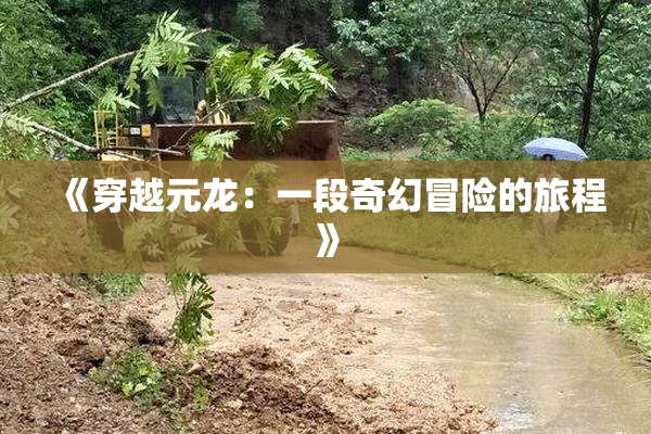 《穿越元龙：一段奇幻冒险的旅程》