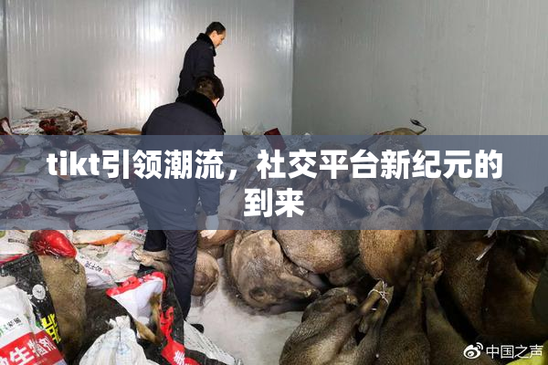 tikt引领潮流，社交平台新纪元的到来