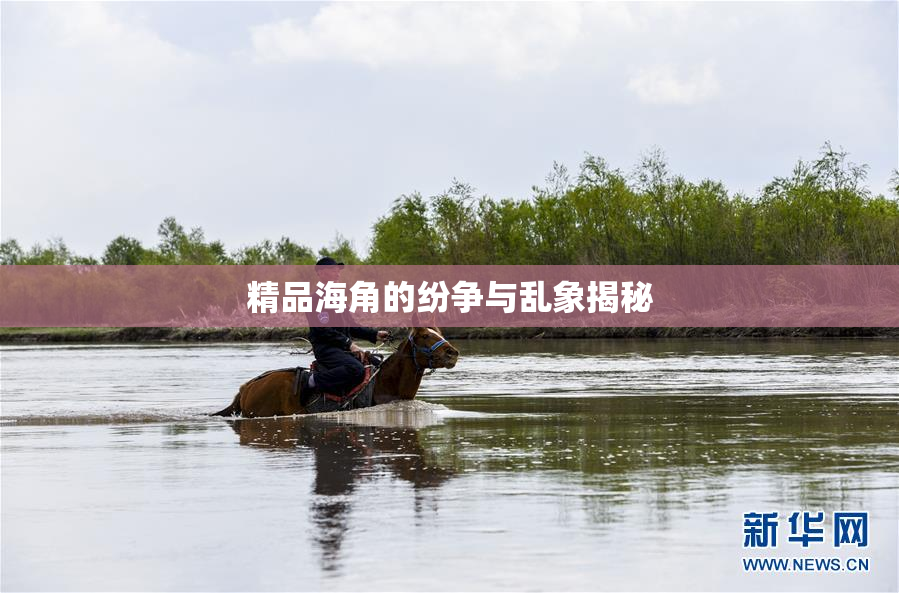 精品海角的纷争与乱象揭秘
