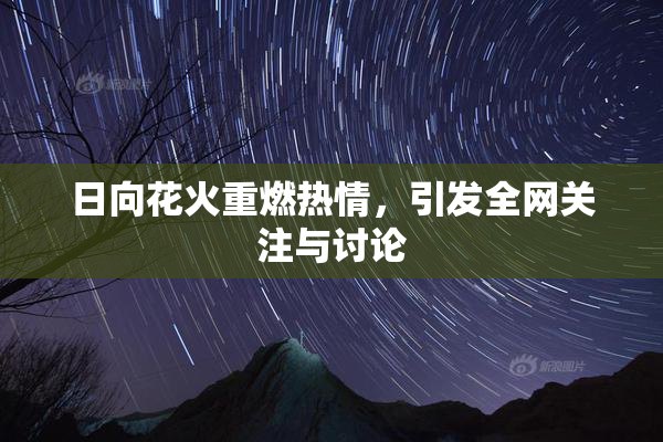 日向花火重燃热情，引发全网关注与讨论