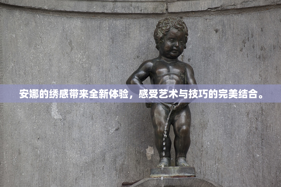 安娜的绣感带来全新体验，感受艺术与技巧的完美结合。