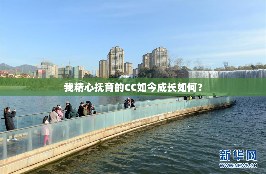 我精心抚育的CC如今成长如何？