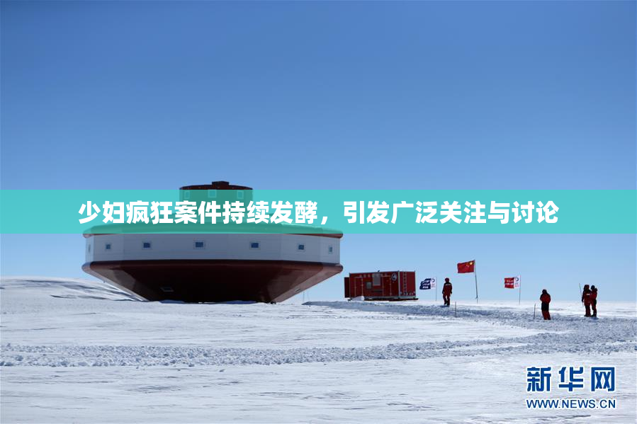 少妇疯狂案件持续发酵，引发广泛关注与讨论
