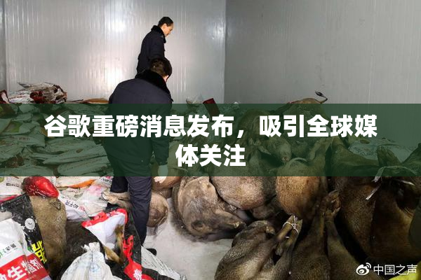 谷歌重磅消息发布，吸引全球媒体关注
