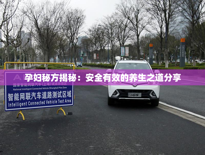 孕妇秘方揭秘：安全有效的养生之道分享