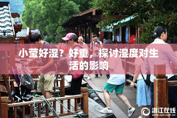 小莹好湿？好重，探讨湿度对生活的影响