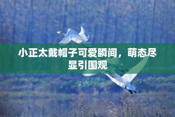小正太戴帽子可爱瞬间，萌态尽显引围观