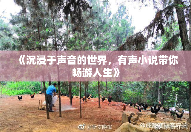《沉浸于声音的世界，有声小说带你畅游人生》