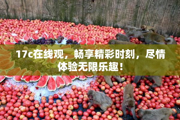 17c在线观，畅享精彩时刻，尽情体验无限乐趣！