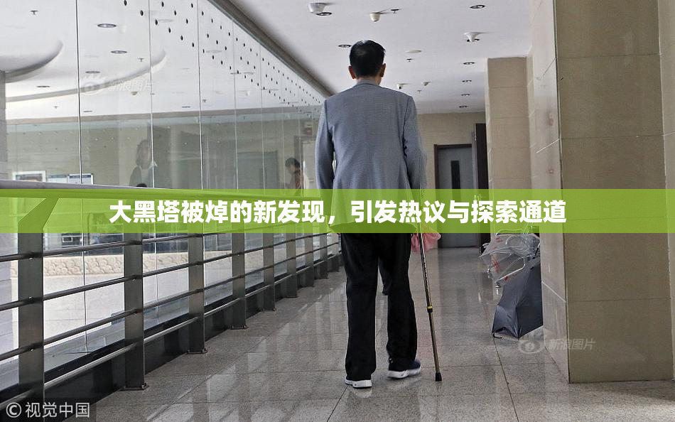 大黑塔被焯的新发现，引发热议与探索通道
