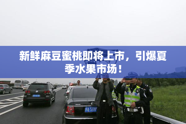 新鲜麻豆蜜桃即将上市，引爆夏季水果市场！