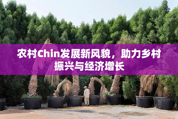 农村Chin发展新风貌，助力乡村振兴与经济增长