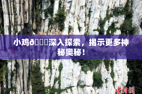 小鸡🐔深入探索，揭示更多神秘奥秘！