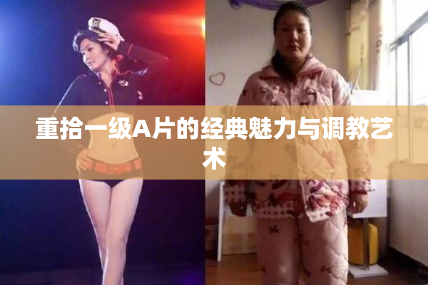 重拾一级A片的经典魅力与调教艺术