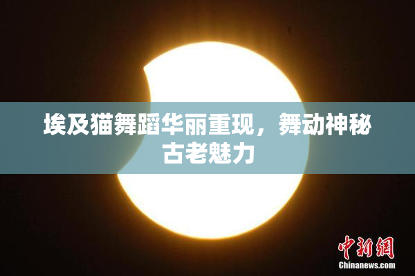 埃及猫舞蹈华丽重现，舞动神秘古老魅力