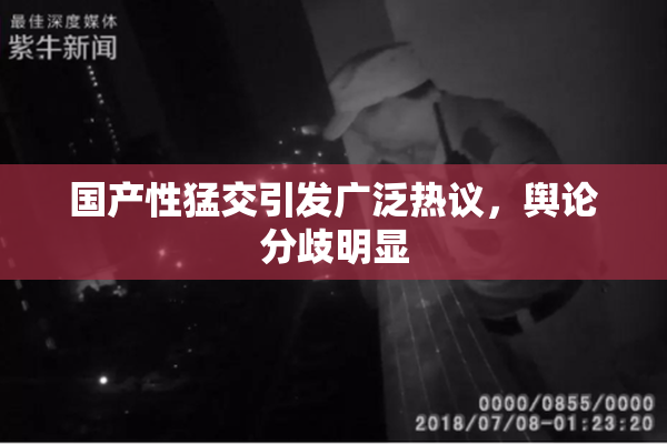 国产性猛交引发广泛热议，舆论分歧明显