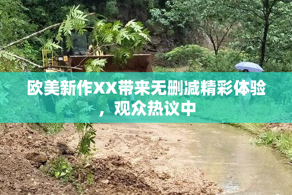 欧美新作XX带来无删减精彩体验，观众热议中