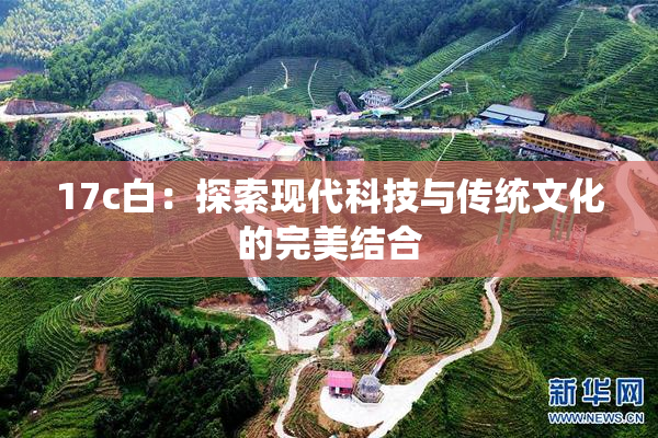 17c白：探索现代科技与传统文化的完美结合