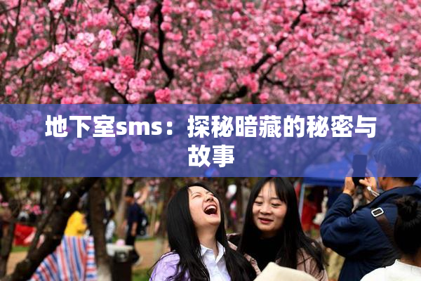 地下室sms：探秘暗藏的秘密与故事