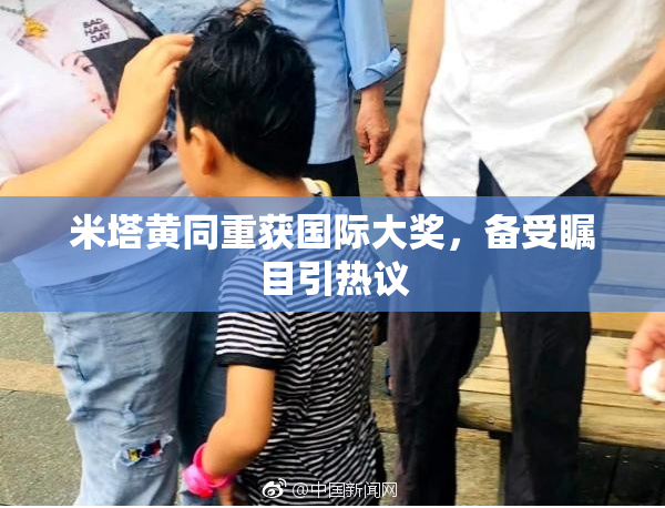 米塔黄同重获国际大奖，备受瞩目引热议
