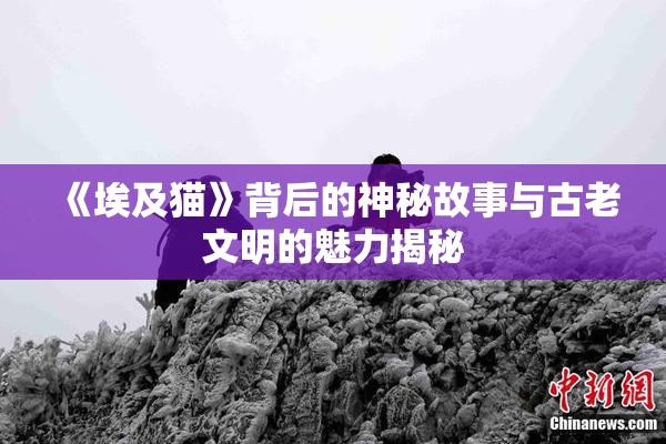 《埃及猫》背后的神秘故事与古老文明的魅力揭秘
