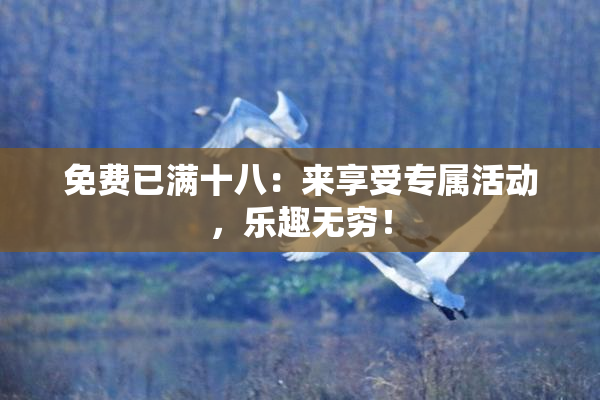 免费已满十八：来享受专属活动，乐趣无穷！