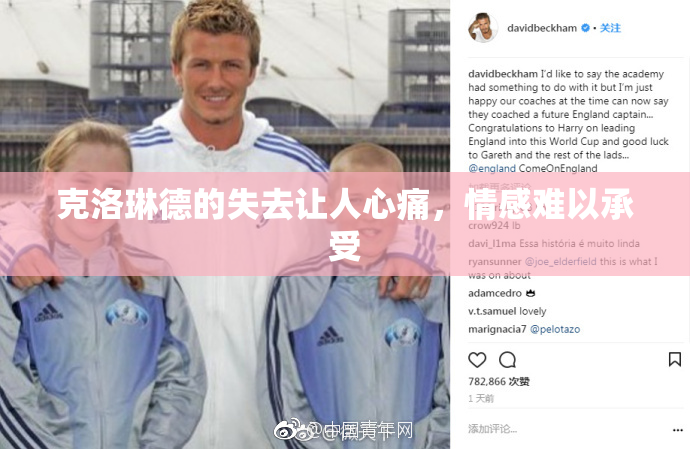 克洛琳德的失去让人心痛，情感难以承受