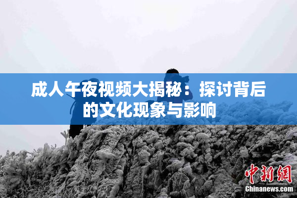 成人午夜视频大揭秘：探讨背后的文化现象与影响