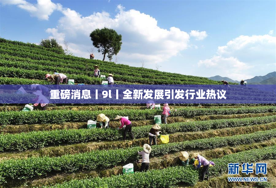 重磅消息丨9l丨全新发展引发行业热议