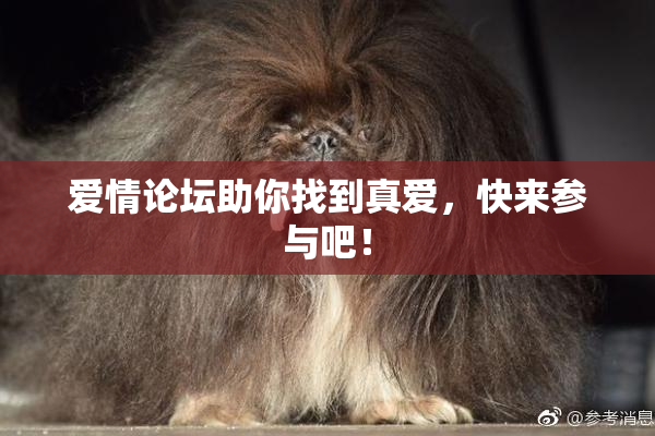 爱情论坛助你找到真爱，快来参与吧！