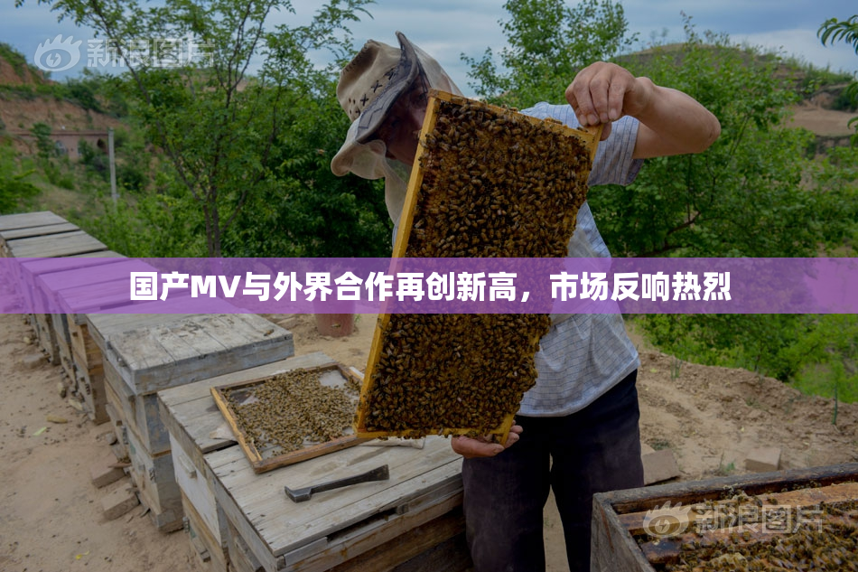 国产MV与外界合作再创新高，市场反响热烈