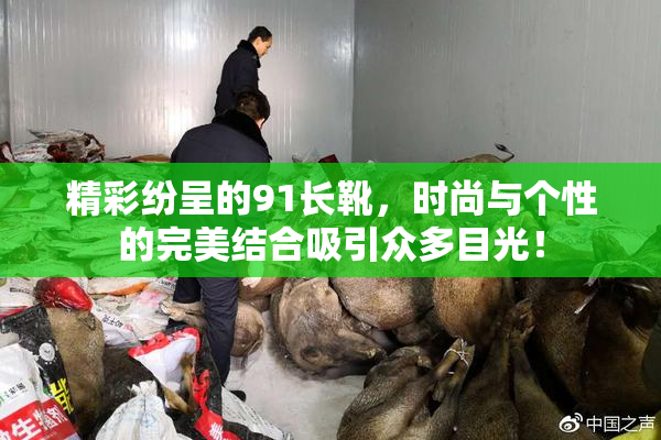 精彩纷呈的91长靴，时尚与个性的完美结合吸引众多目光！