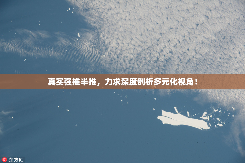 真实强推半推，力求深度剖析多元化视角！