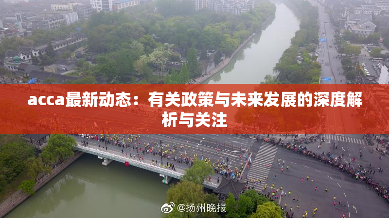 acca最新动态：有关政策与未来发展的深度解析与关注