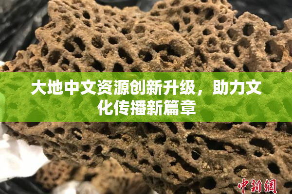 大地中文资源创新升级，助力文化传播新篇章