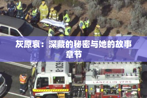 灰原哀：深藏的秘密与她的故事章节