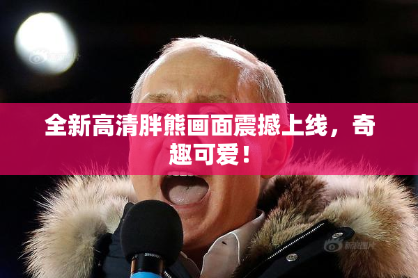 全新高清胖熊画面震撼上线，奇趣可爱！