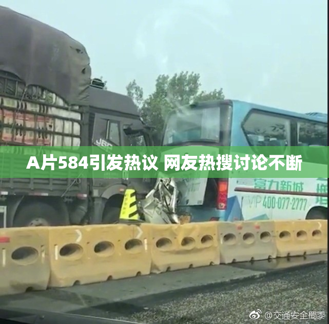A片584引发热议 网友热搜讨论不断