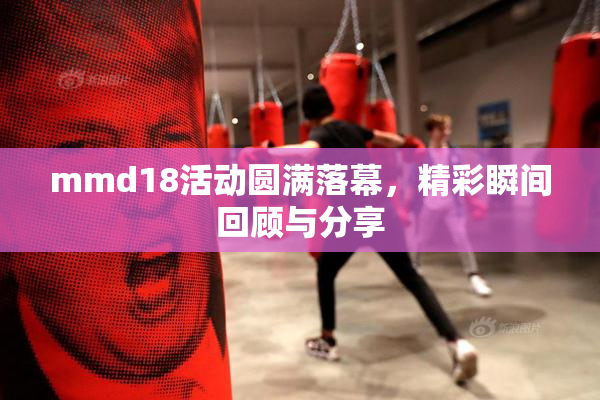 mmd18活动圆满落幕，精彩瞬间回顾与分享