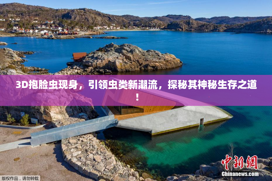 3D抱脸虫现身，引领虫类新潮流，探秘其神秘生存之道！
