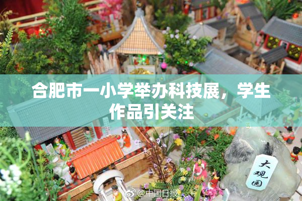 合肥市一小学举办科技展，学生作品引关注