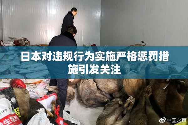 日本对违规行为实施严格惩罚措施引发关注