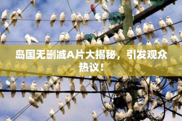 岛国无删减A片大揭秘，引发观众热议！