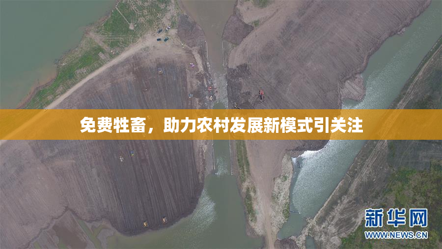 免费牲畜，助力农村发展新模式引关注