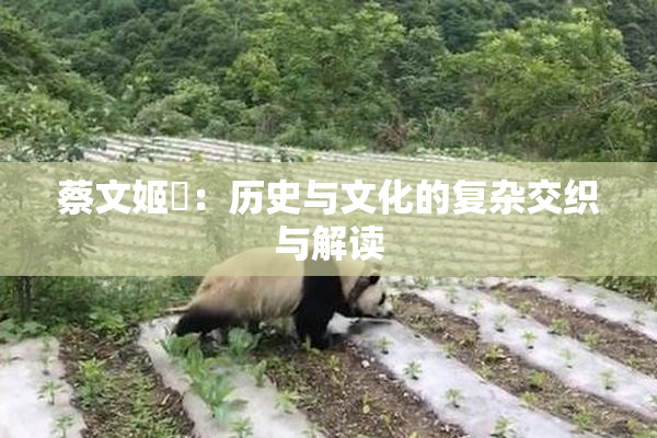 蔡文姬婬：历史与文化的复杂交织与解读