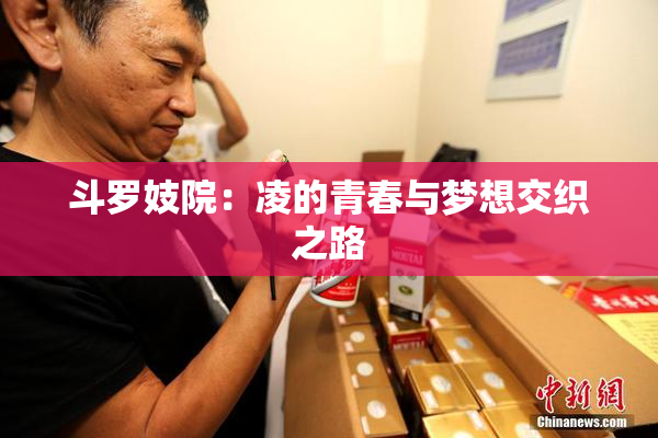 斗罗妓院：凌的青春与梦想交织之路