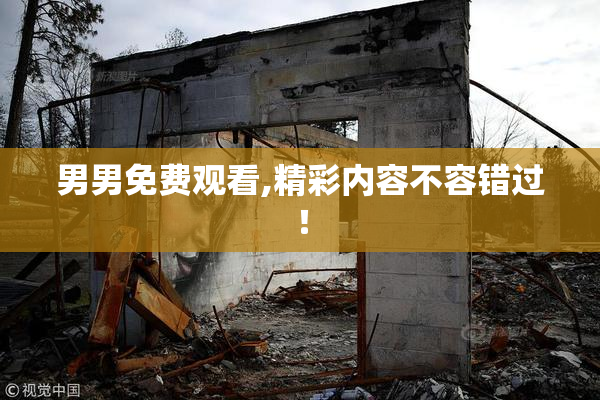 男男免费观看,精彩内容不容错过！
