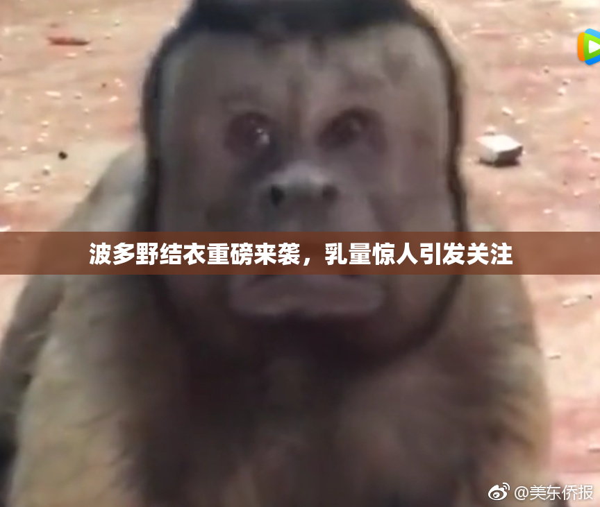 波多野结衣重磅来袭，乳量惊人引发关注