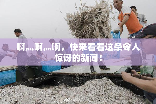 啊灬啊灬啊，快来看看这条令人惊讶的新闻！